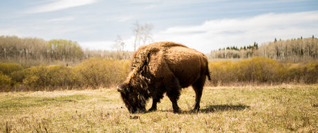 Manitoba GPS Maps: Updates, Versions & Changes