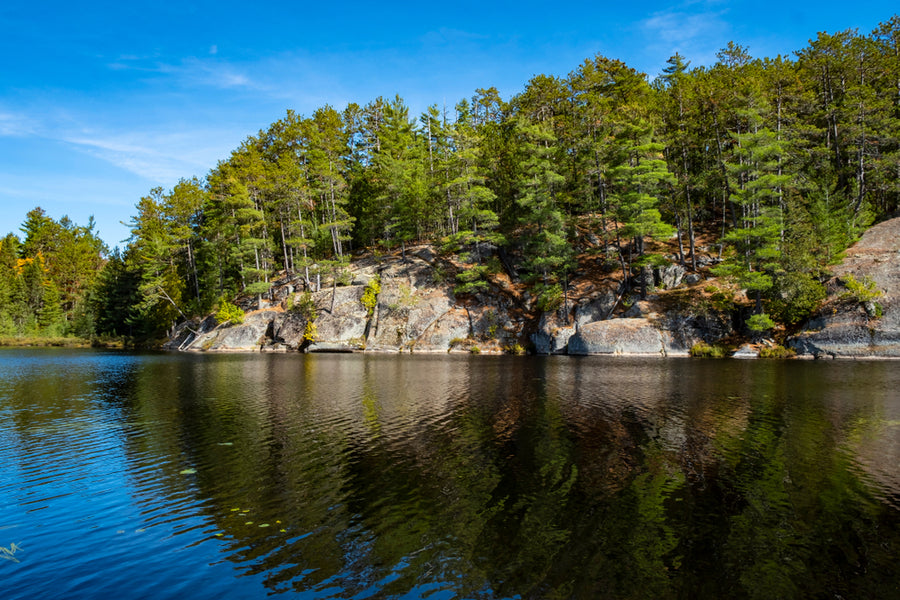 Best Day Hikes Along the Highway 60 Corridor