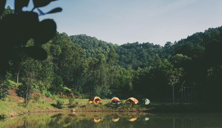 Free Crown land campsite beside a boreal lake in northern Ontario
