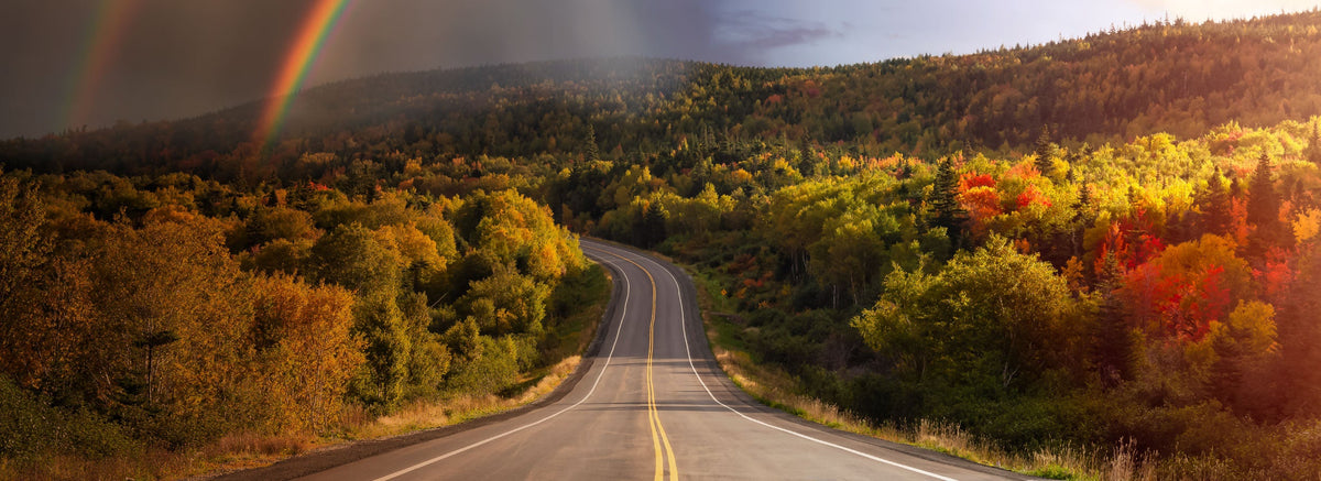 BACKROAD MAPS USA visual data 3