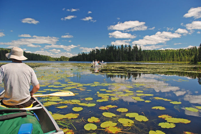 Maps for Northwestern Ontario
