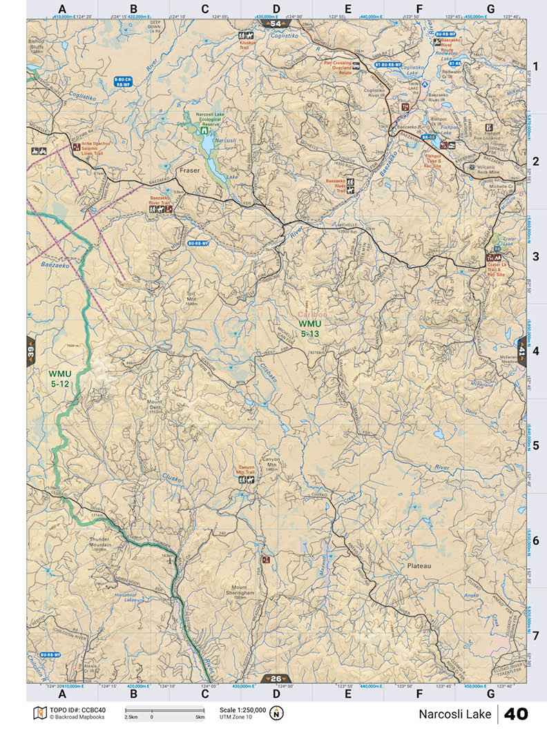 CCBC40 TOPO Map - Narcosli Lake