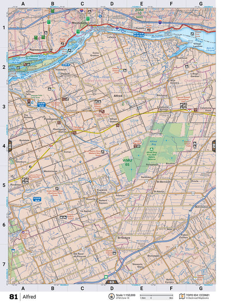 CCON81 TOPO Map - Alfred - Backroad Maps