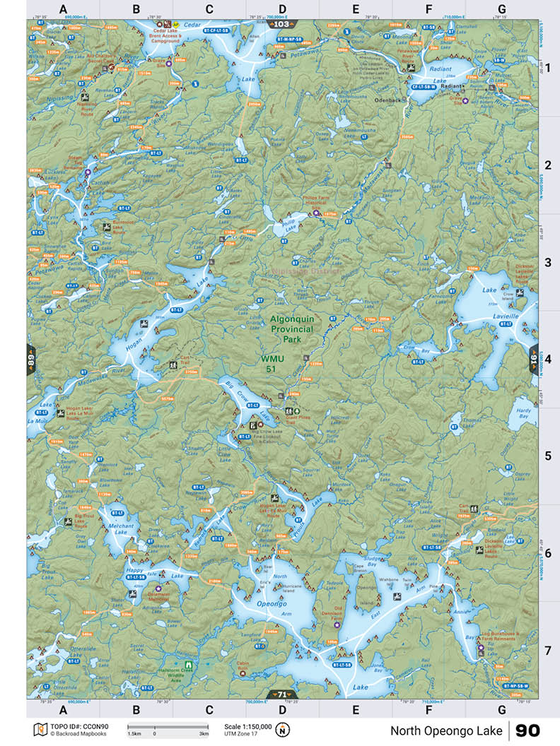 CCON90 Wall Map - North Opeongo Lake - Backroad Maps