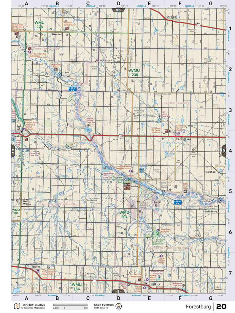 CEAB20 TOPO Map - Forestburg