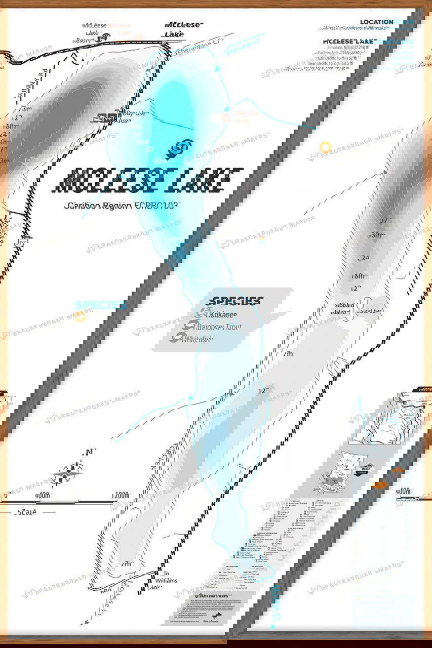 FCRBC103 McLeese Lake - Wall Map - Backroad Maps