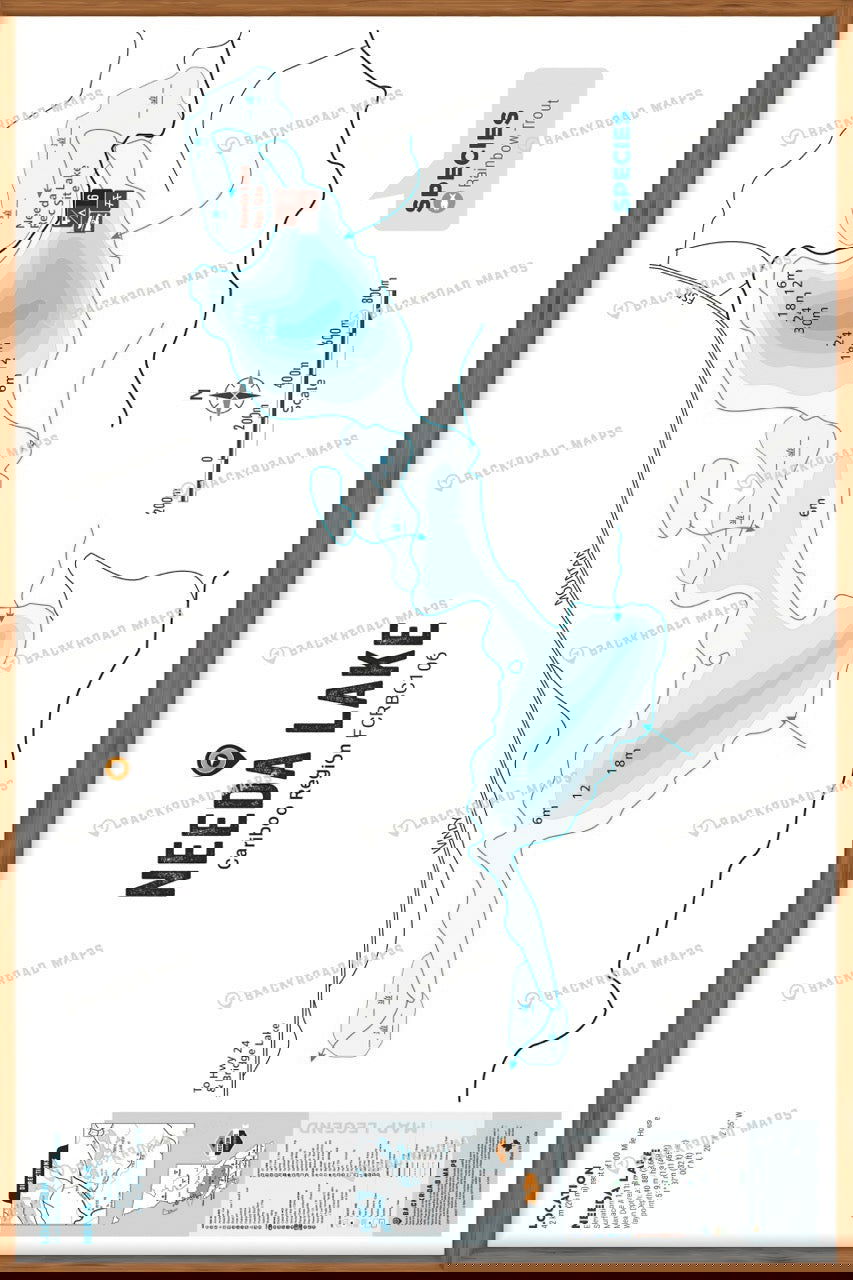 FCRBC106 Needa Lake - Wall Map - Backroad Maps
