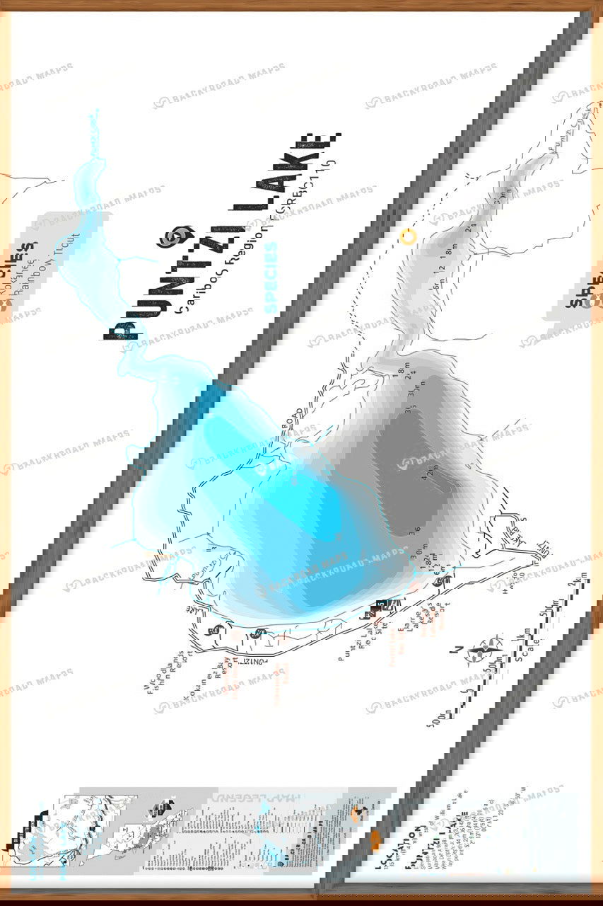 FCRBC110 Puntzi Lake - Wall Map - Backroad Maps