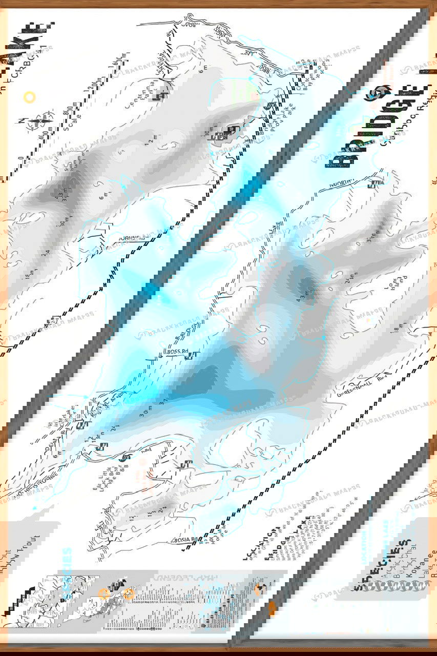 FCRBC41 Bridge Lake  - Wall Map - Backroad Maps