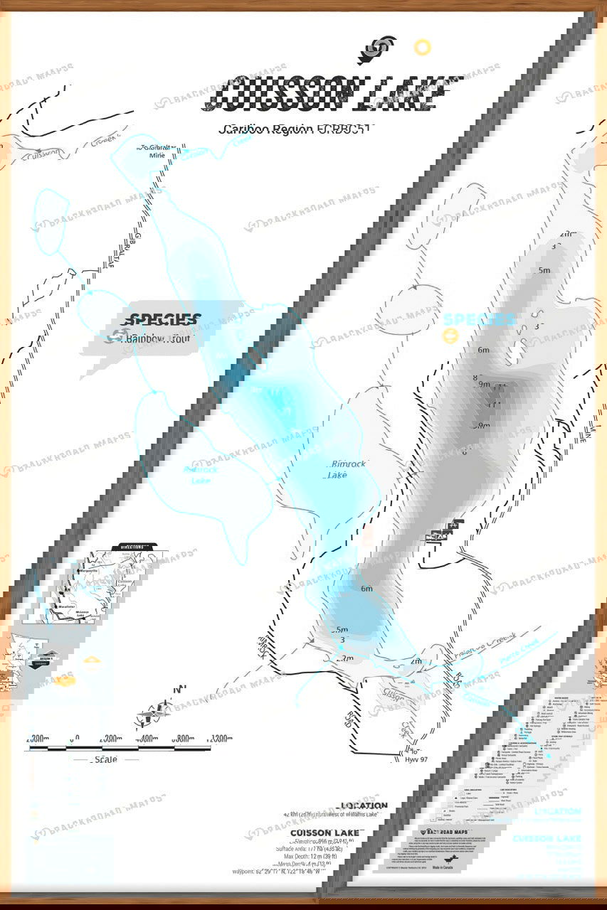 FCRBC51 Cuisson Lake  - Wall Map - Backroad Maps