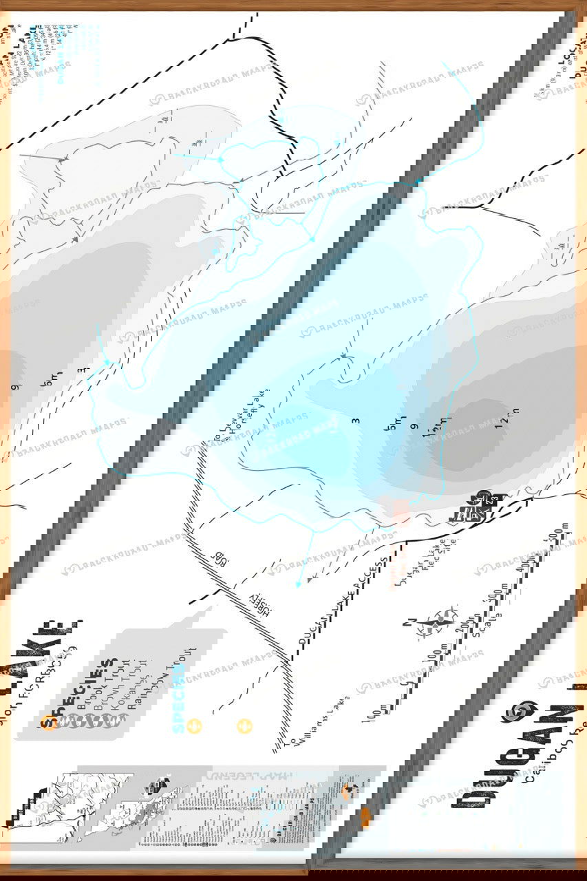 FCRBC59 Dugan Lake  - Wall Map - Backroad Maps