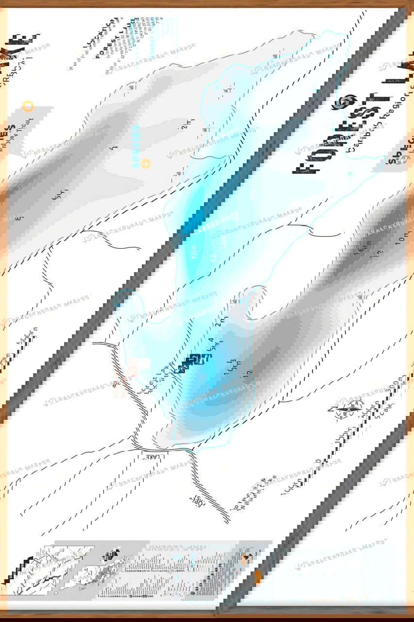 FCRBC71 Forest Lake  - Wall Map - Backroad Maps