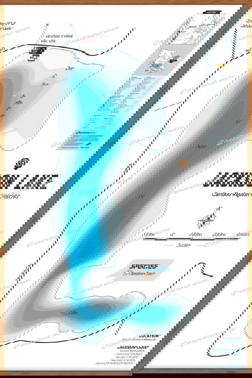 FCRBC90 Jackson Lake  - Wall Map - Backroad Maps