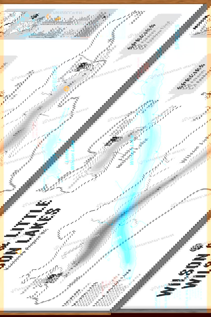 FKRBC119 Wilson & Little Wilson Lakes - Wall Map - Backroad Maps