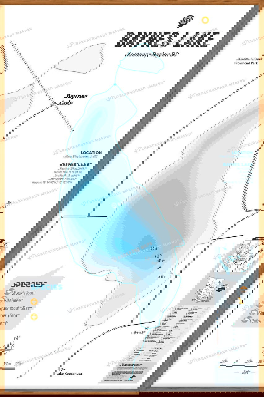 FKRBC24 Baynes Lake - Wall Map - Backroad Maps