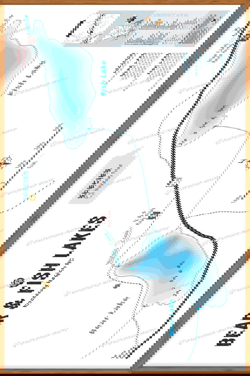 FKRBC25 Bear & Fish Lakes - Wall Map - Backroad Maps