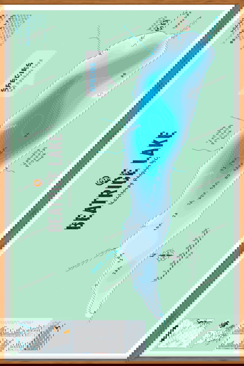 FKRBC26 Beatrice Lake - Wall Map - Backroad Maps
