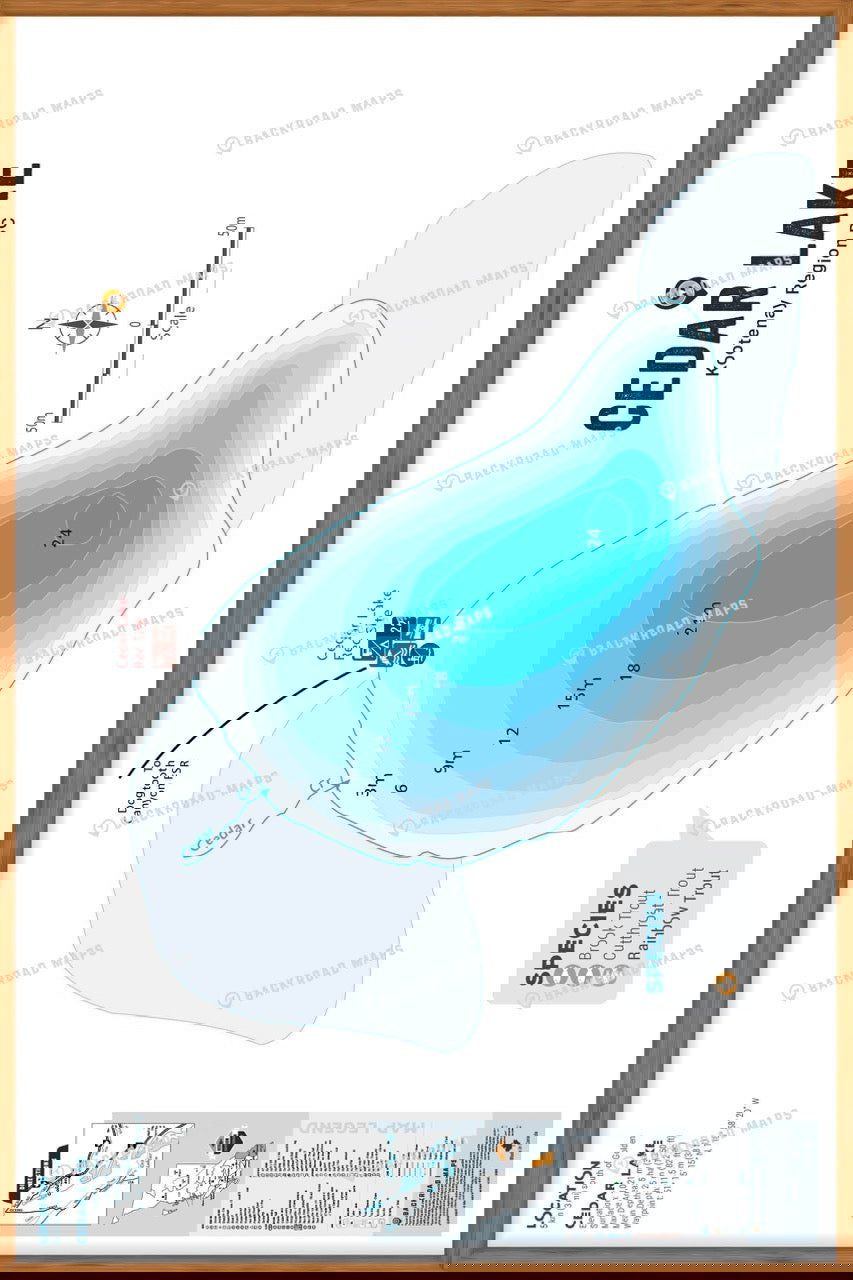 FKRBC42 Cedar Lake - Wall Map - Backroad Maps