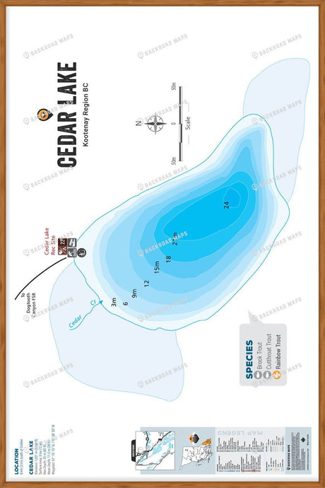 FKRBC42 Cedar Lake - Wall Map - Backroad Maps