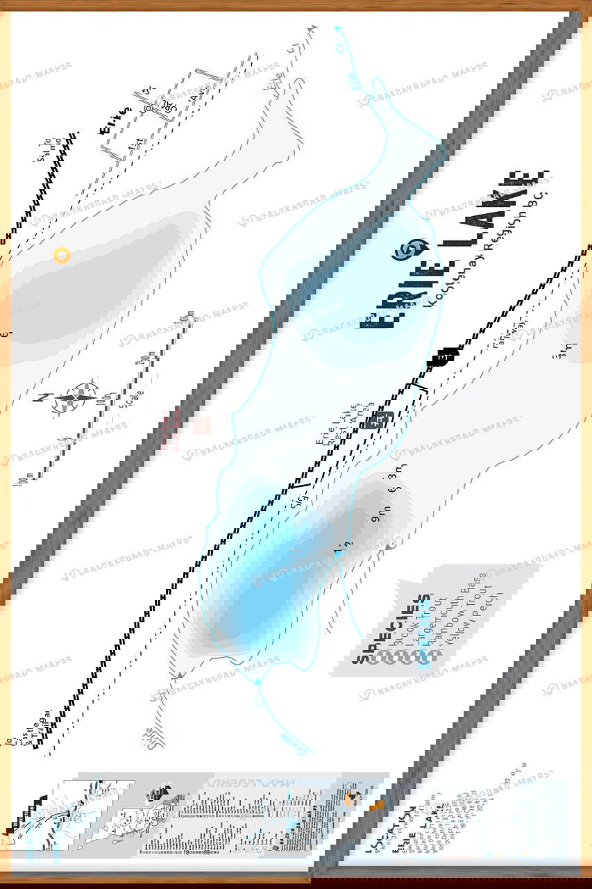 FKRBC58 Erie Lake - Wall Map - Backroad Maps