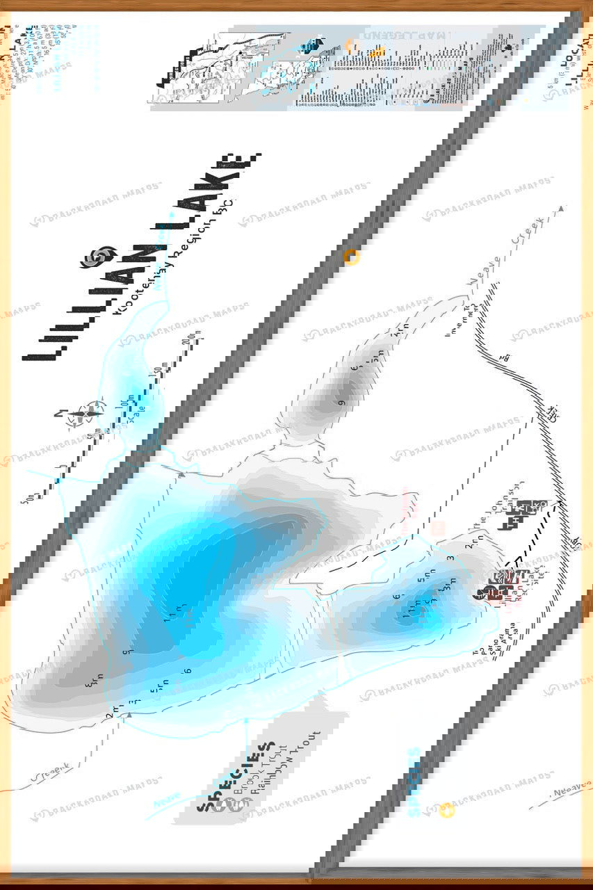 FKRBC76 Lillian Lake - Wall Map - Backroad Maps