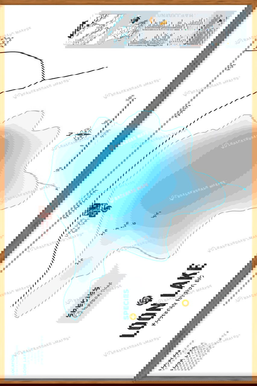 FKRBC79 Loon Lake - Golden - Wall Map - Backroad Maps