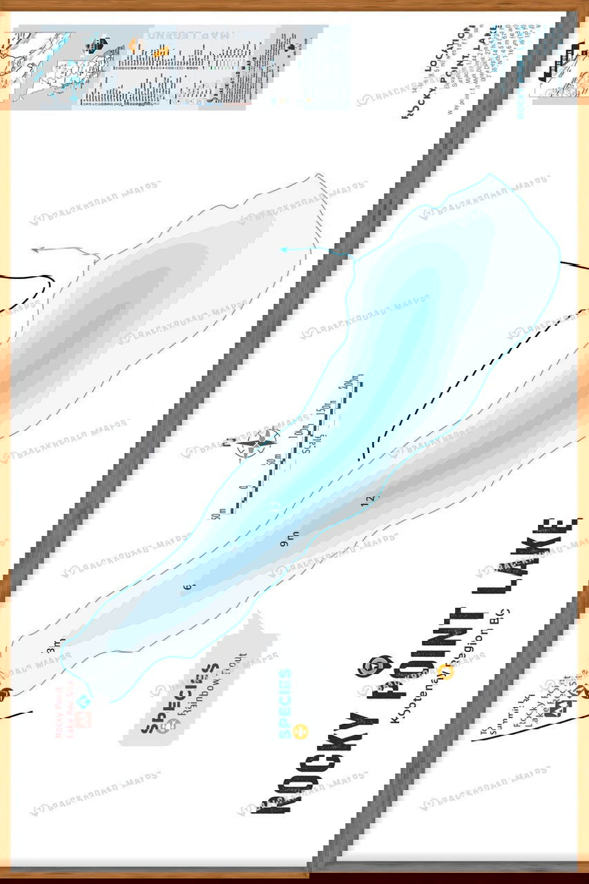FKRBC93 Rocky Point Lake - Wall Map - Backroad Maps