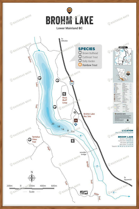 FLMBC29 Brohm lake - Wall Map - Backroad Maps
