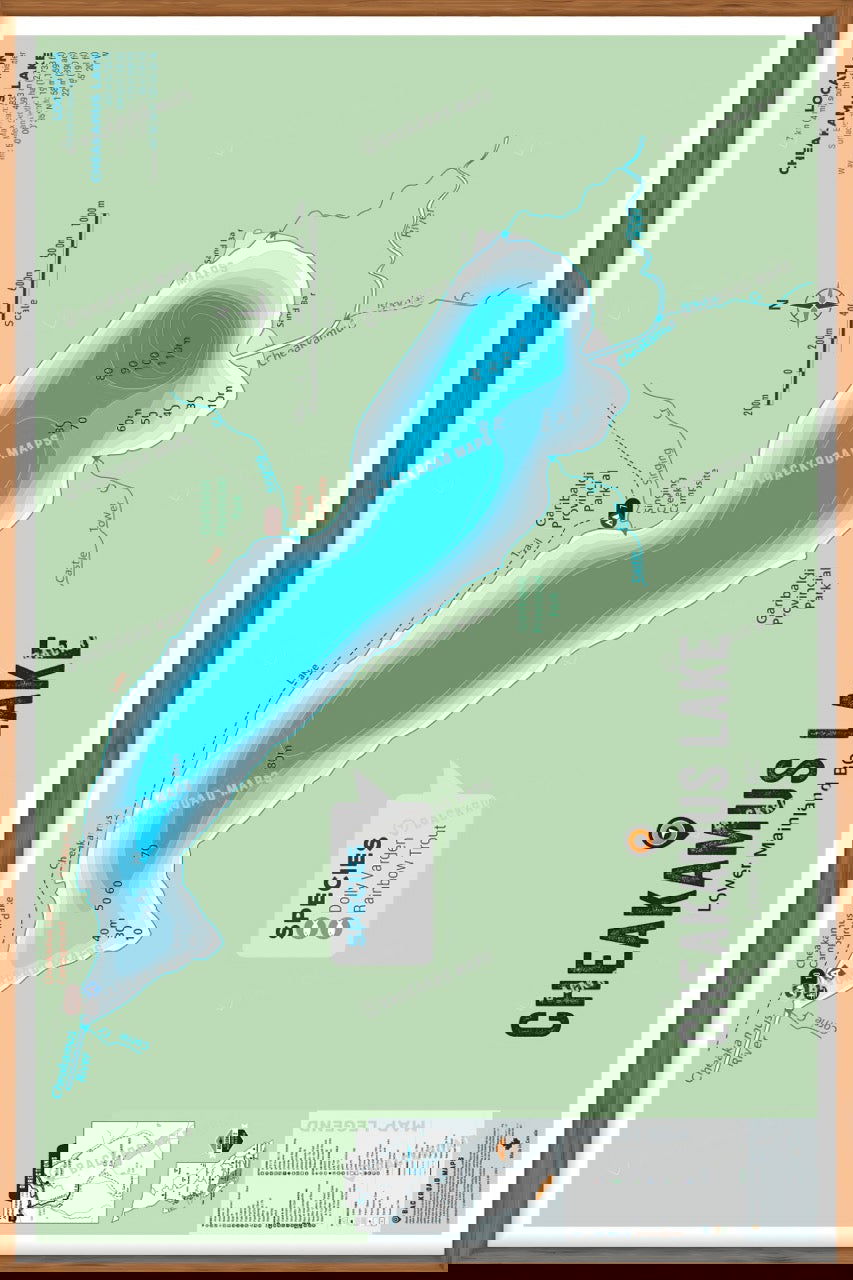 FLMBC35 Cheakamus Lake - Wall Map - Backroad Maps