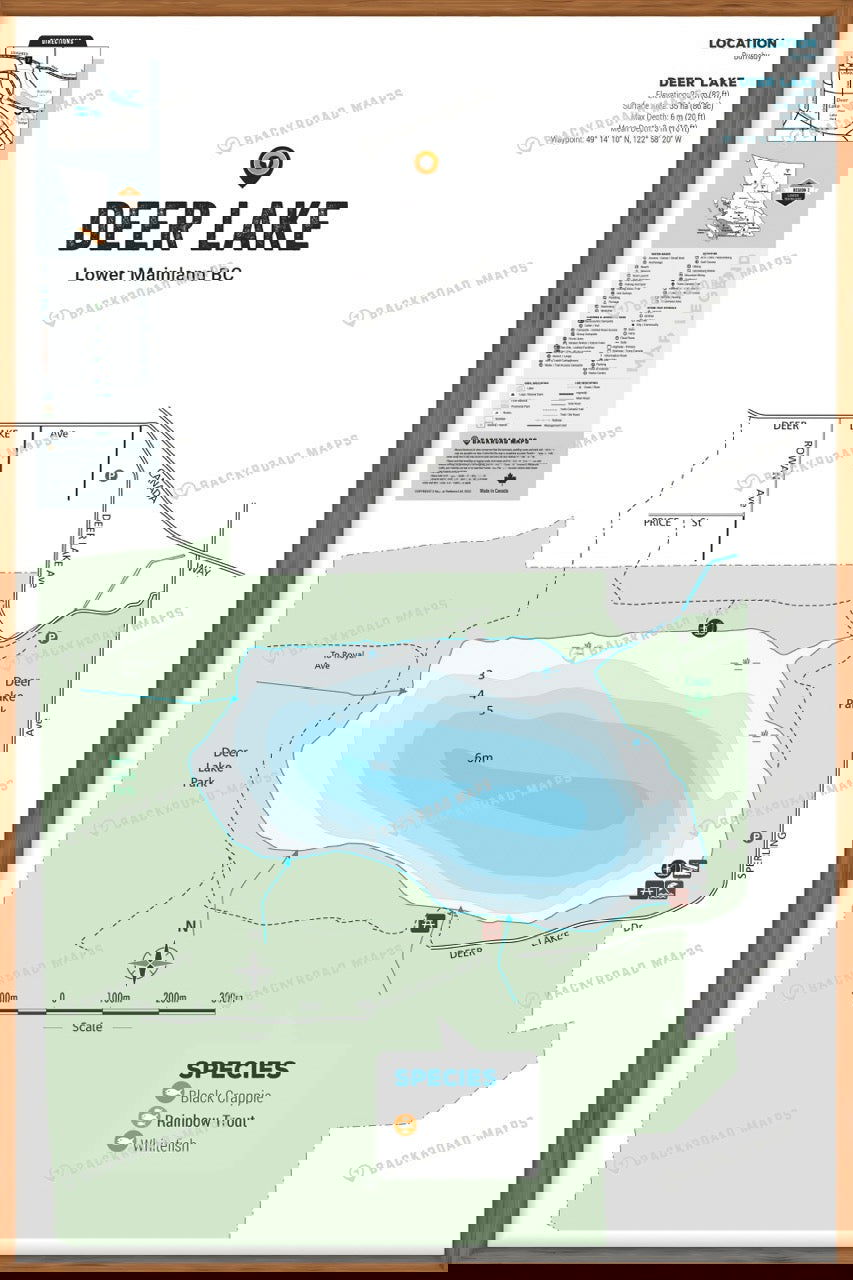 FLMBC43 Deer Lake - Burnaby Area - Wall Map - Backroad Maps