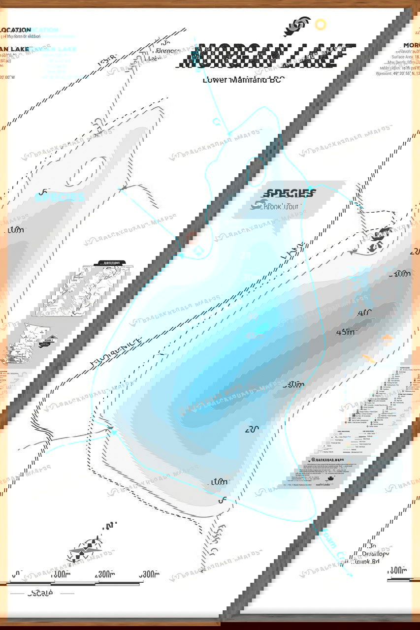 FLMBC82 Morgan Lake - Wall Map - Backroad Maps
