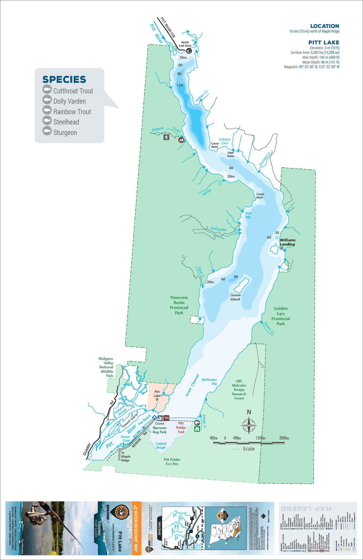 FLMBC87 Pitt Lake - Backroad Maps