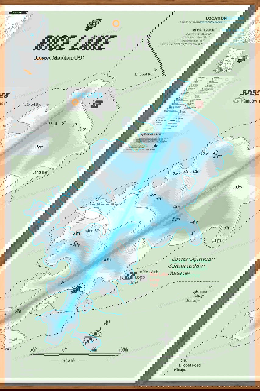 FLMBC90 Rice Lake - Wall Map - Backroad Maps