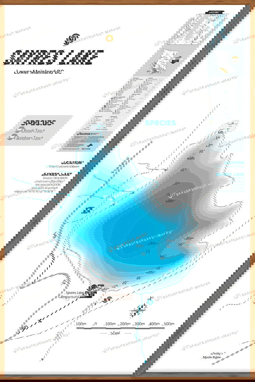 FLMBC96 Sayres Lake - Wall Map - Backroad Maps
