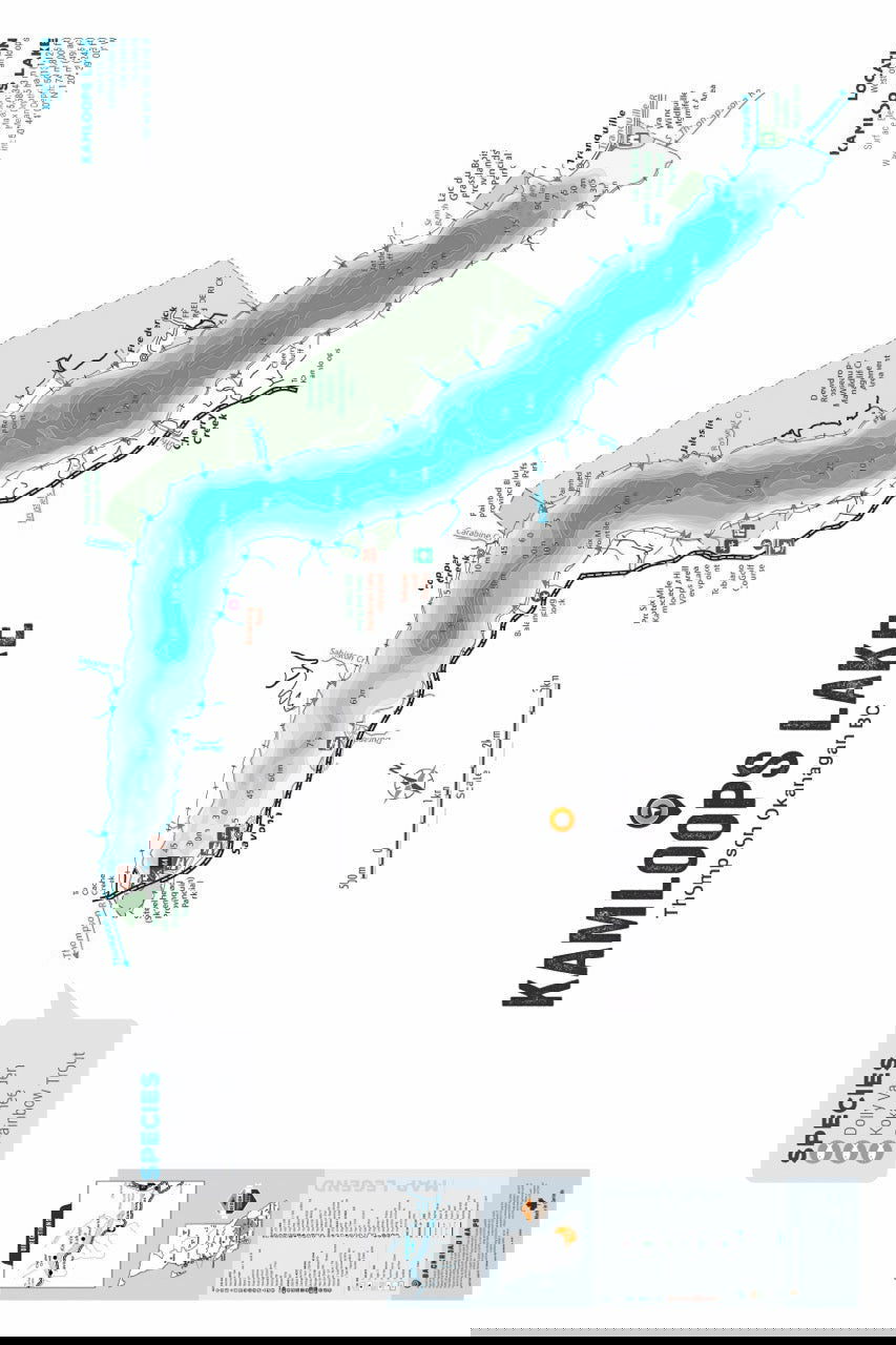 FTOBC101 Kamloops Lake - Wall Map - Backroad Maps