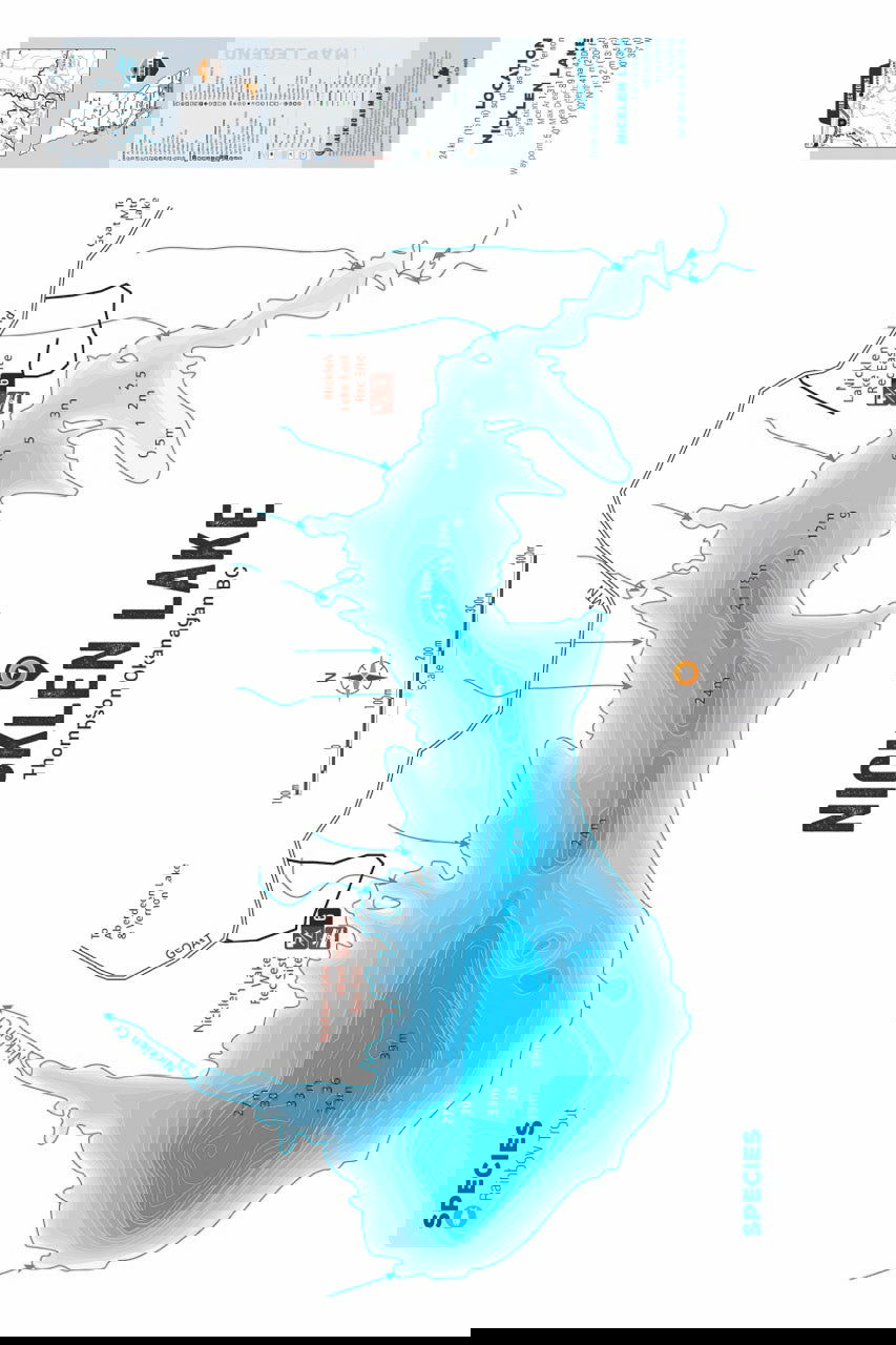 FTOBC142 Nicklen Lake - Wall Map - Backroad Maps