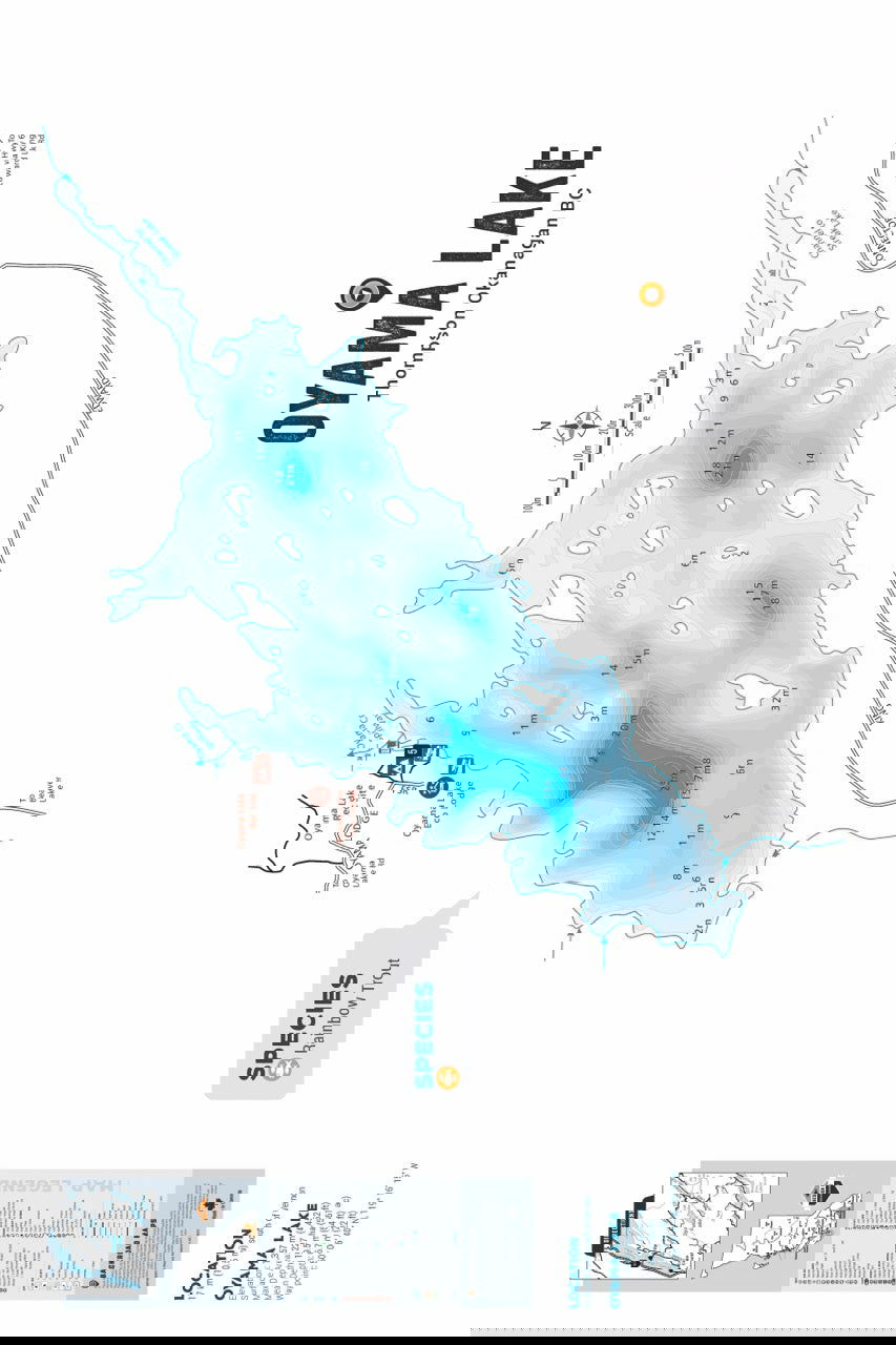 FTOBC152 Oyama Lake - Wall Map - Backroad Maps