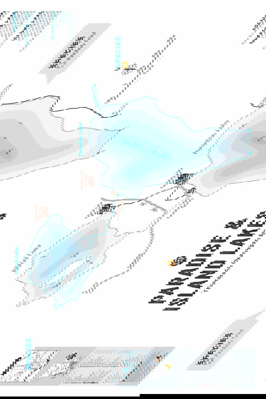 FTOBC153 Paradise & Island Lake - Wall Map - Backroad Maps