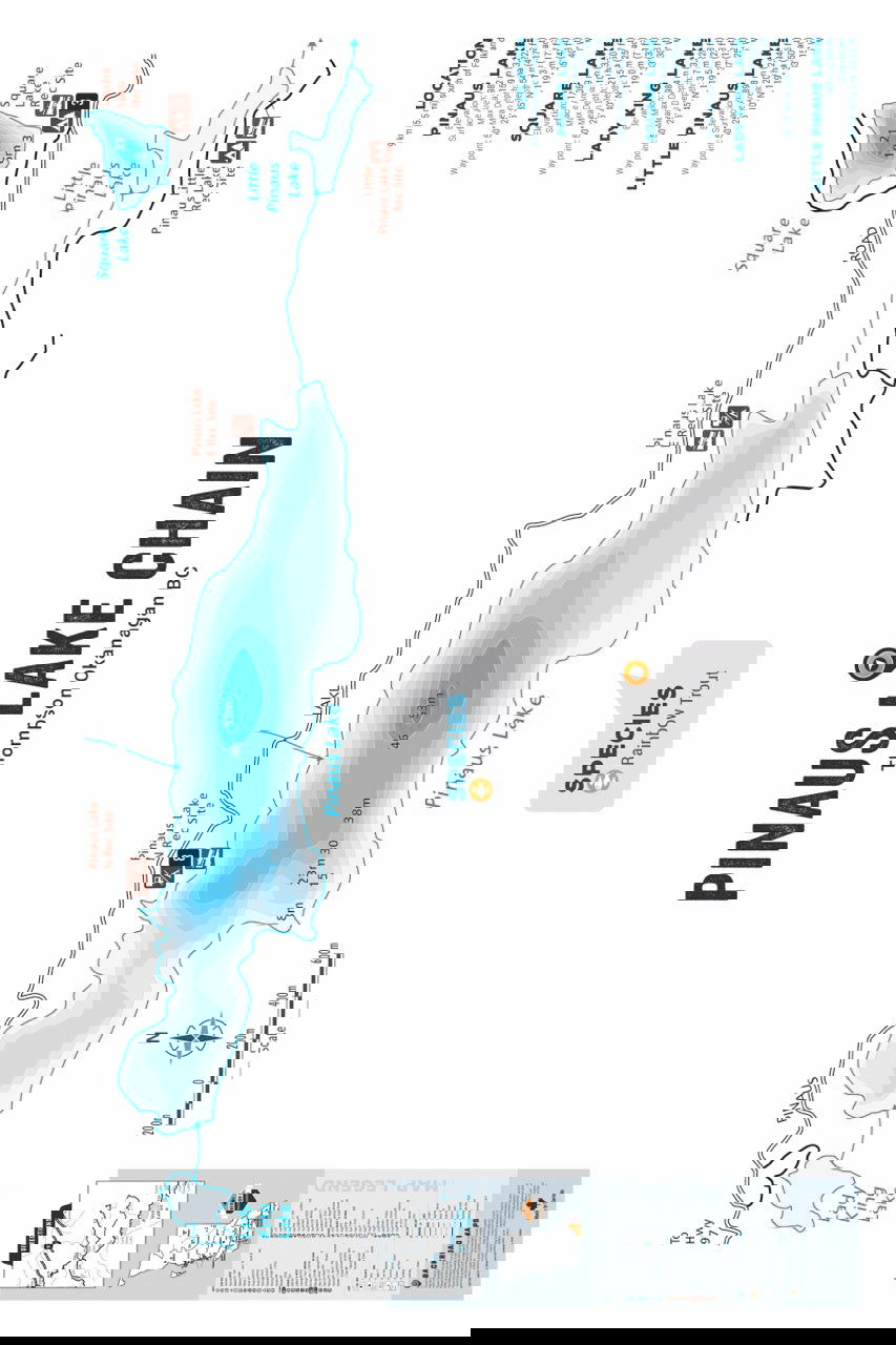 FTOBC163 Pinaus Lake Chain - Wall Map - Backroad Maps