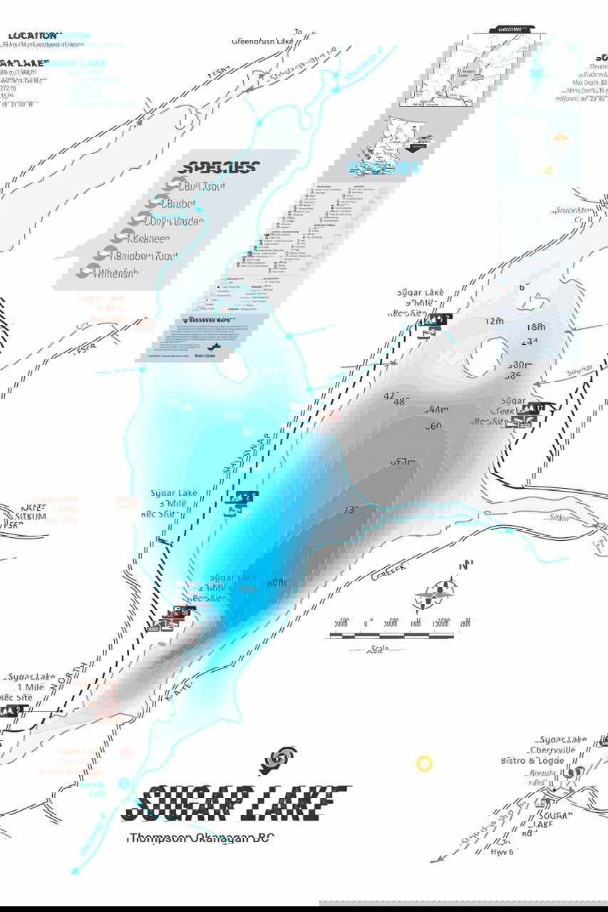 FTOBC191 Sugar Lake - Wall Map - Backroad Maps