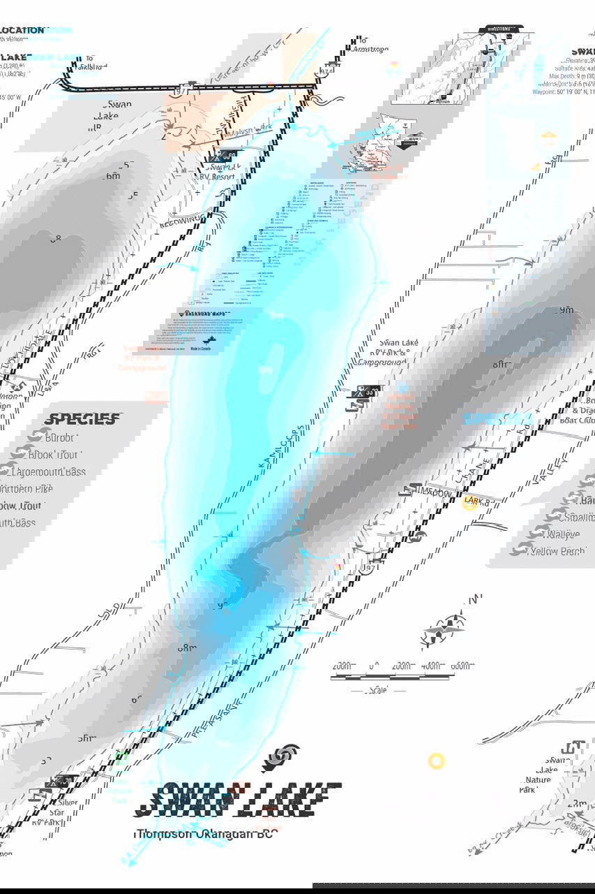 FTOBC194 Swan Lake - Wall Map - Backroad Maps