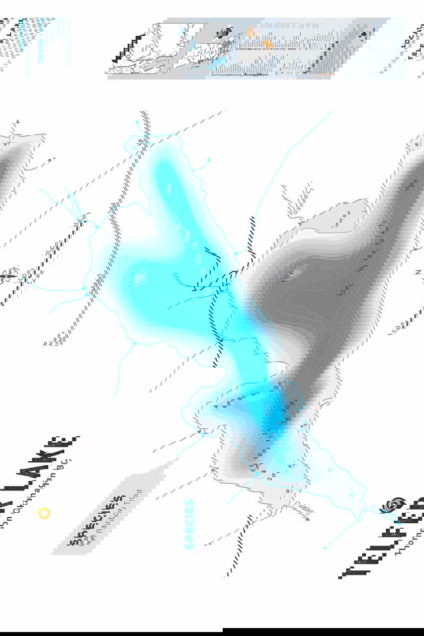 FTOBC196 Telfer Lake - Wall Map - Backroad Maps