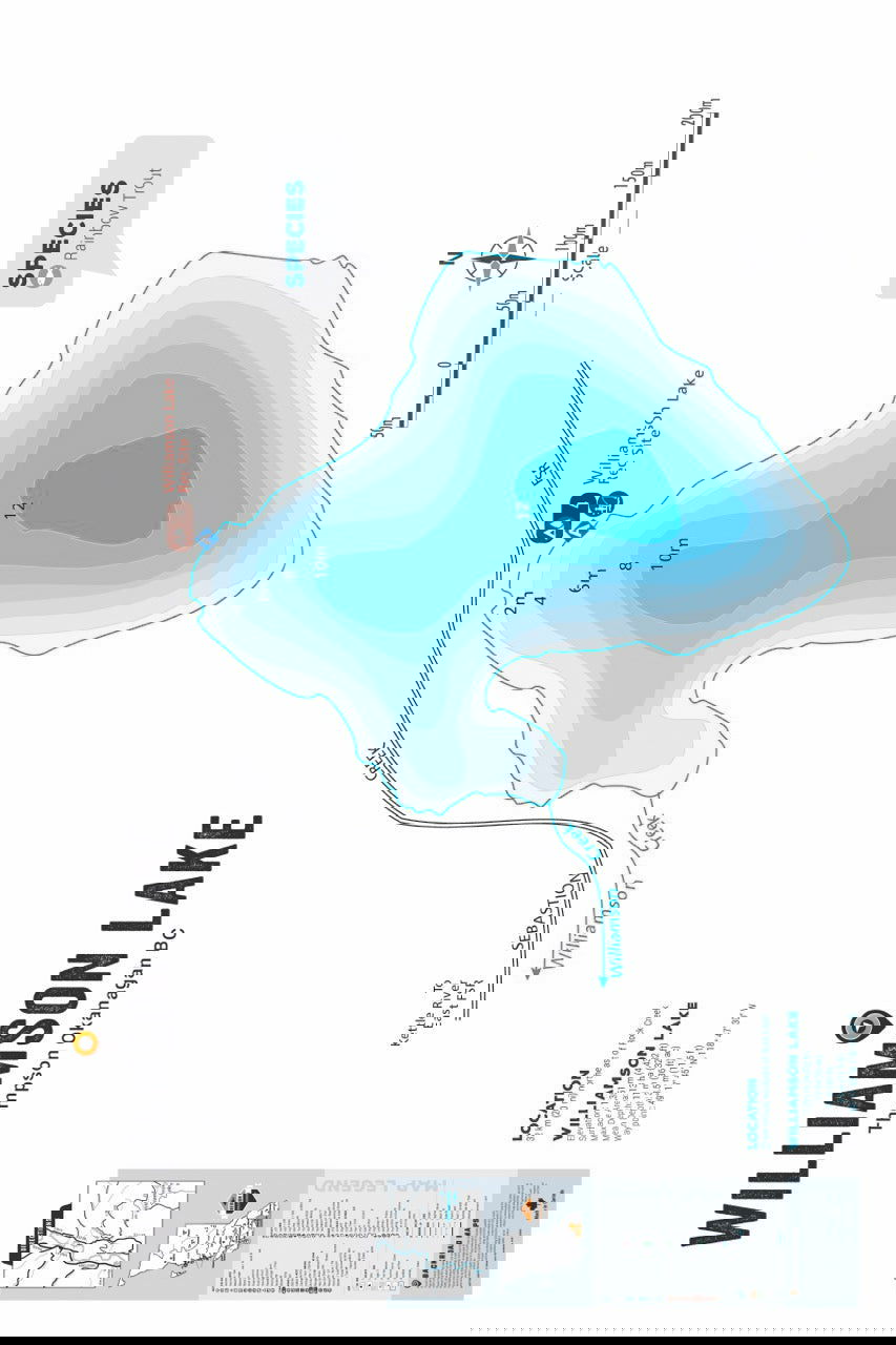 FTOBC211 Williamson Lake - Wall Map - Backroad Maps