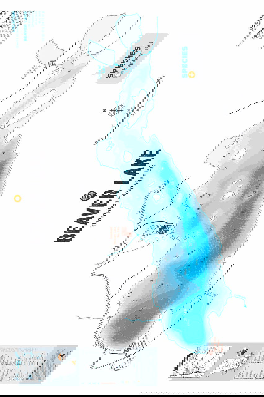 FTOBC27 Beaver Lake - Wall Map - Backroad Maps