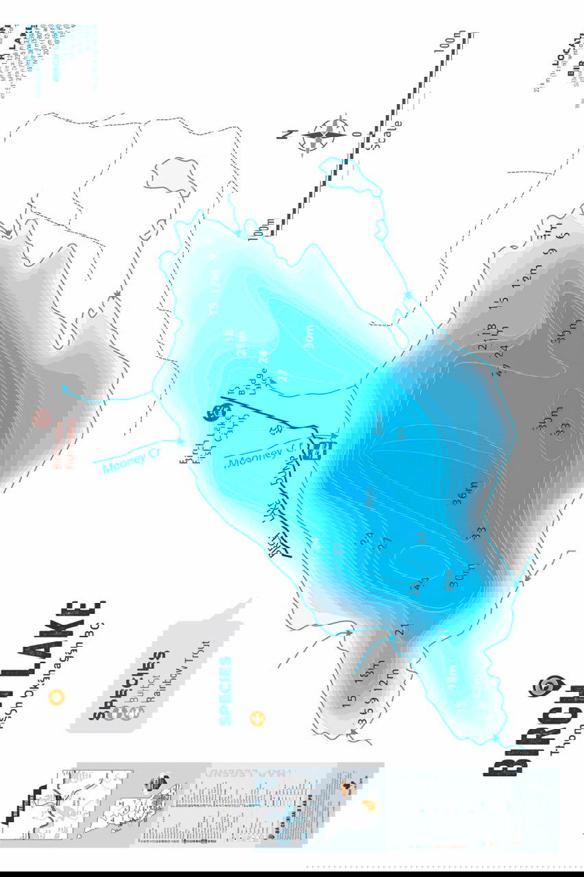 FTOBC30 Birch Lake - Wall Map - Backroad Maps