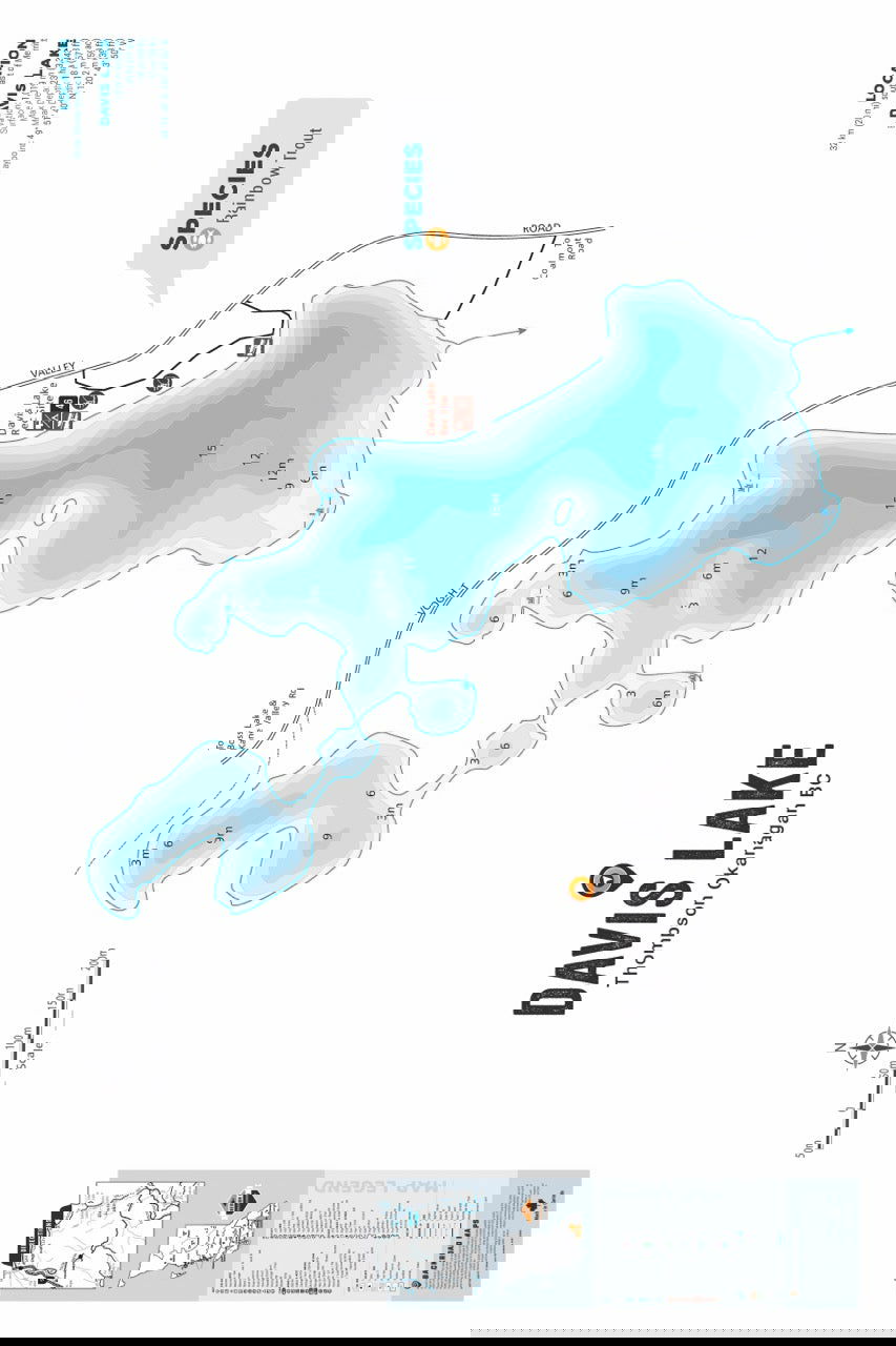FTOBC51 Davis Lake - Wall Map - Backroad Maps