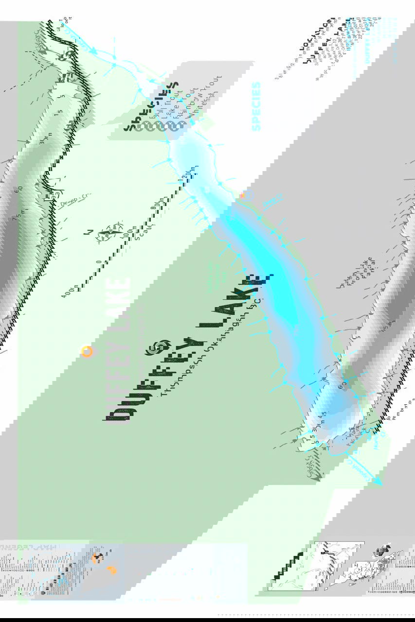 FTOBC56 Duffey Lake - Wall Map - Backroad Maps