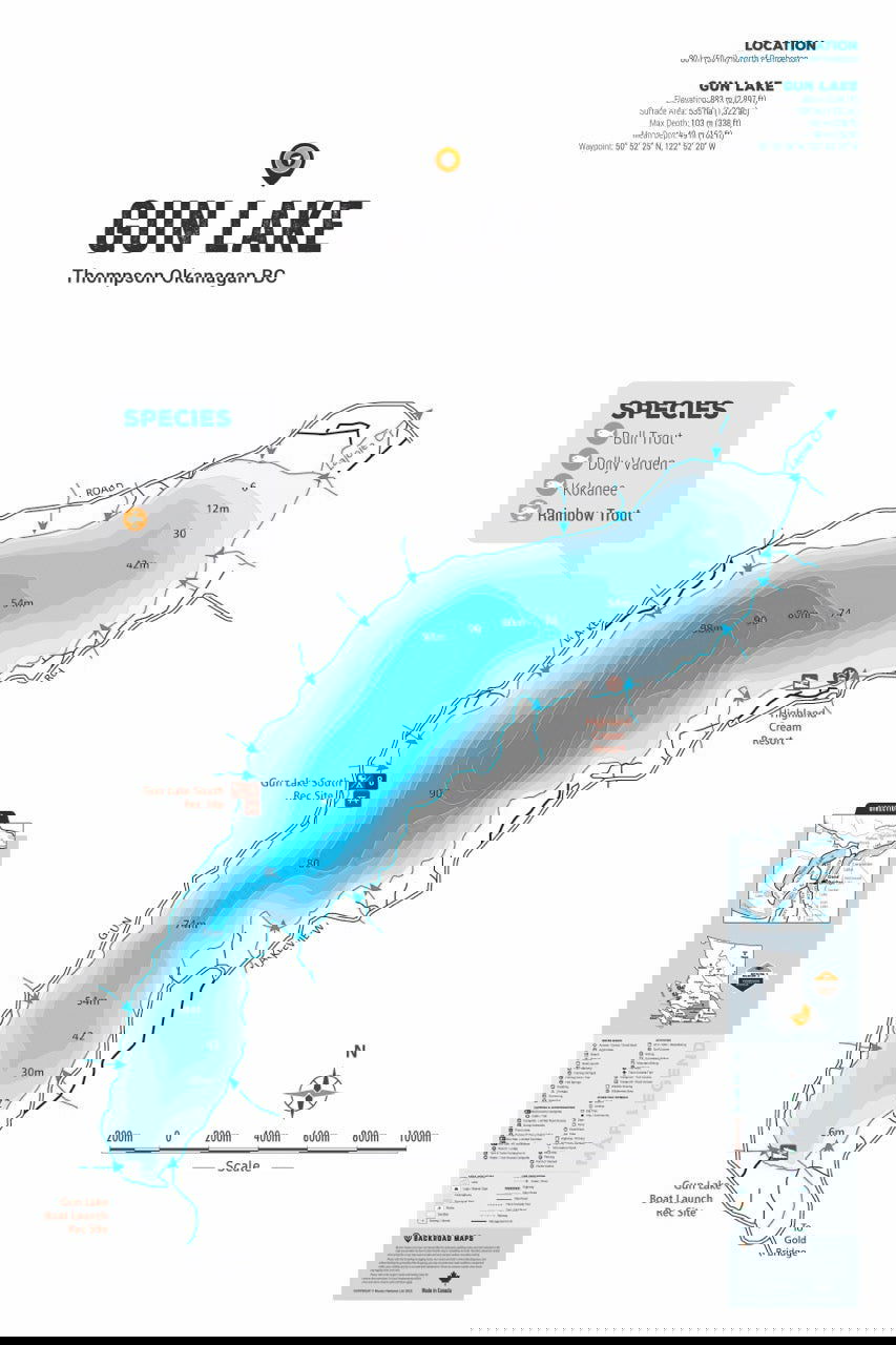 FTOBC72 Gun Lake - Wall Map - Backroad Maps