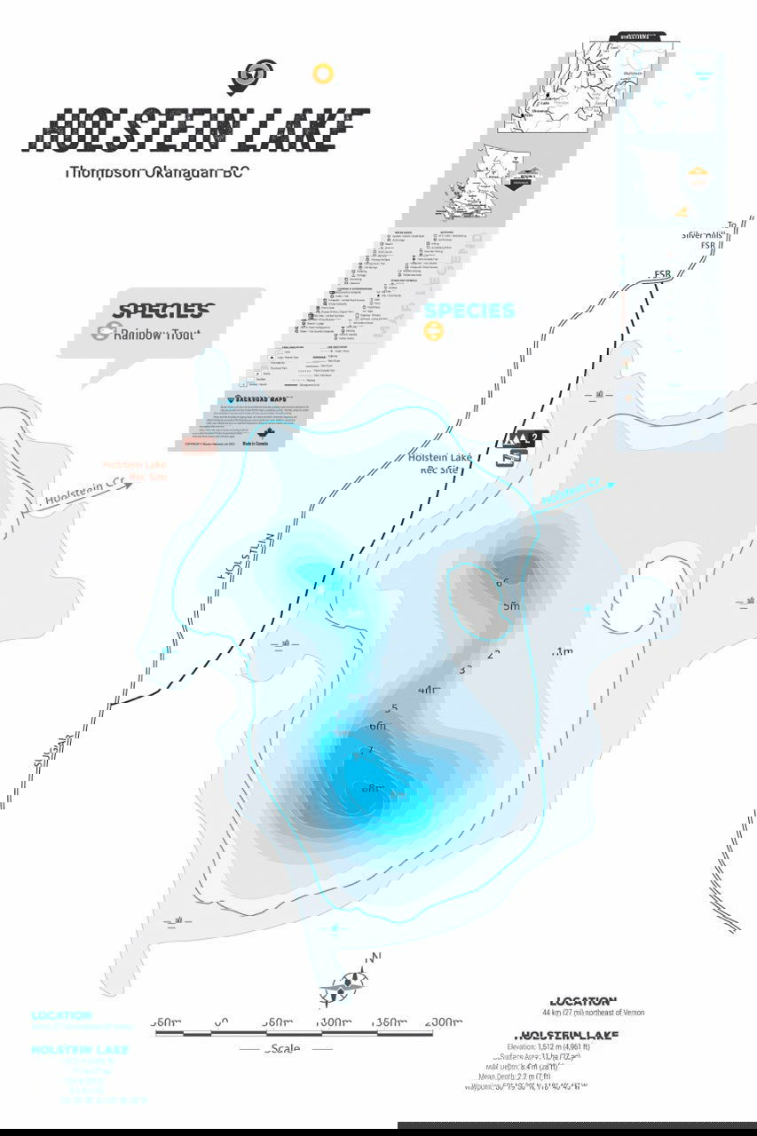FTOBC85 Holstein Lake - Wall Map - Backroad Maps