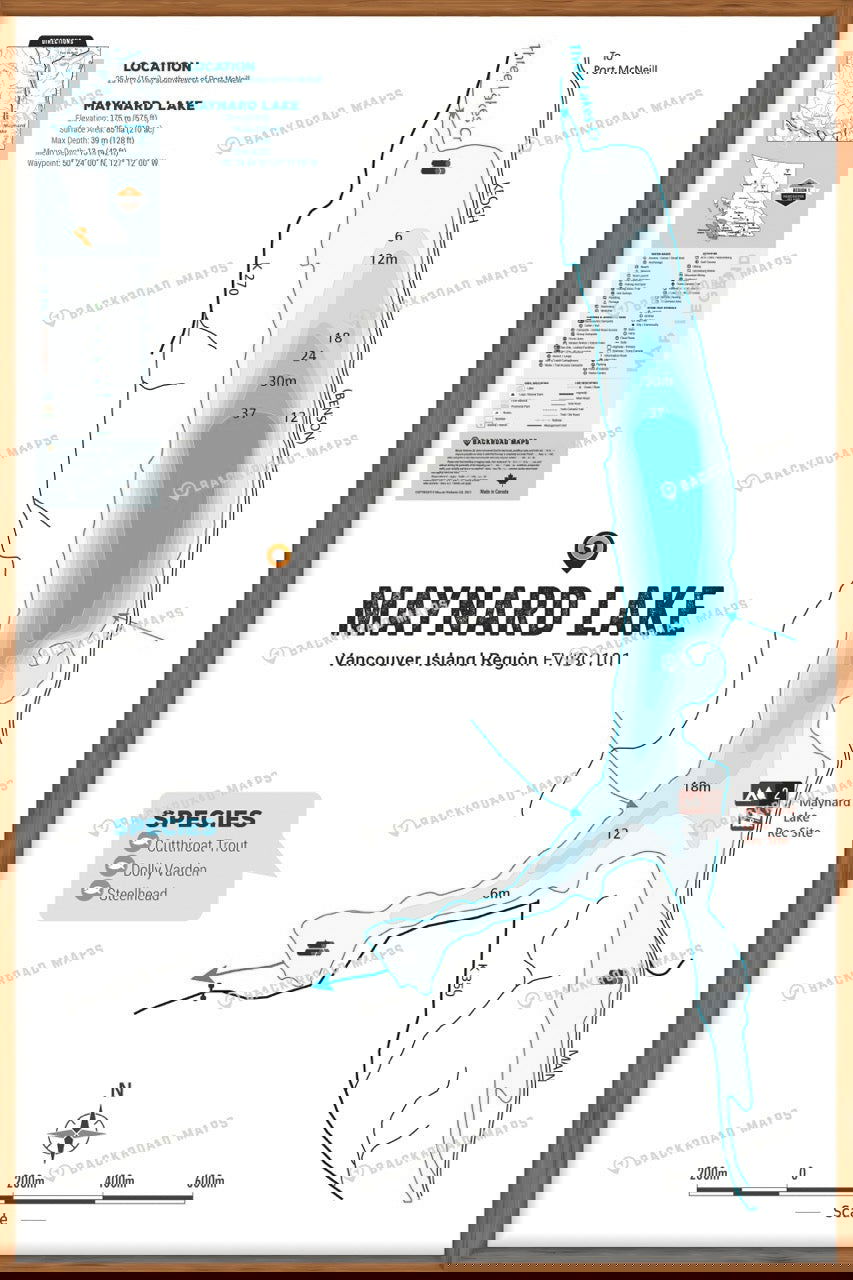 FVIBC101 Maynard Lake - Wall Map - Backroad Maps